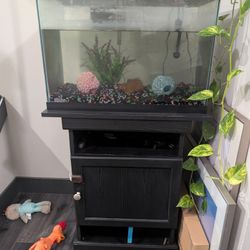 Aquarium With Table