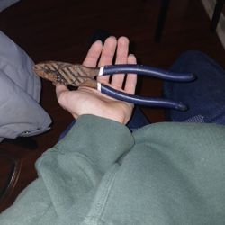 Pliers