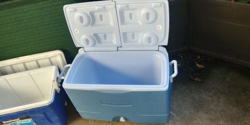 Various igloo coolers