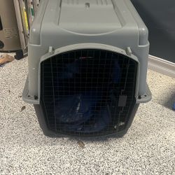 Kennel The Largest Size