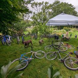  Bike Shop Clearance Sale. By Appointment 