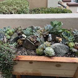 Custom Cedar Planters Made To Order