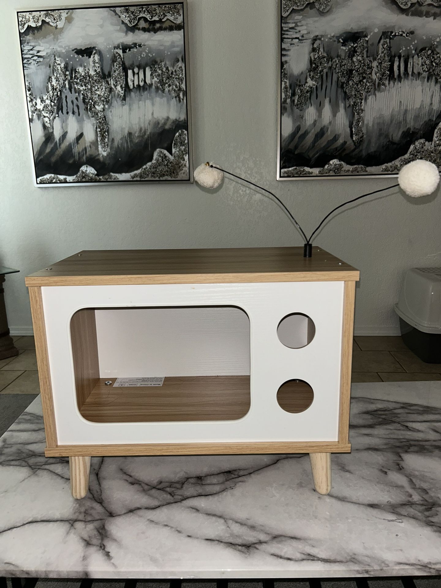 Cat Tv House