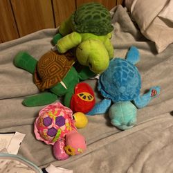 4 Turtle 🐢 Lot