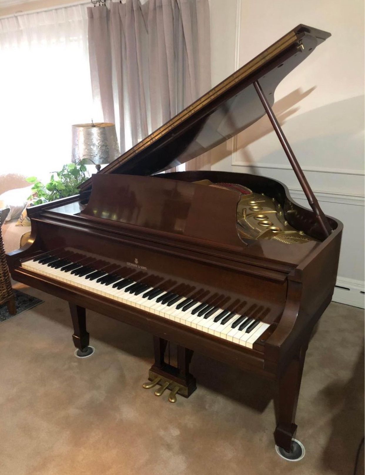 A Classic Steinway Baby Grand Piano Going For Free