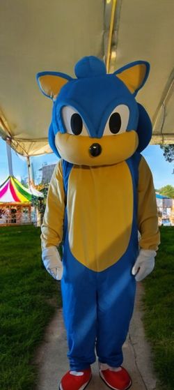 Mascot Blues Hedgehog Son ic, Duck And Dinosaur