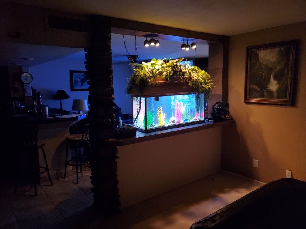 55 gal aquarium