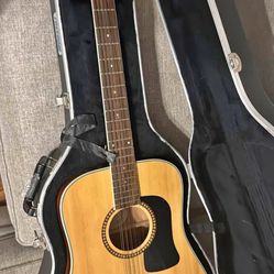 Washburn D10S12 With hard case