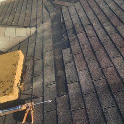 Shingle 