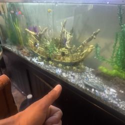 Fish Tank & Stand 