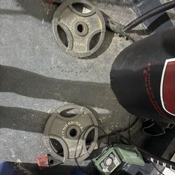 45 Lbs Weights