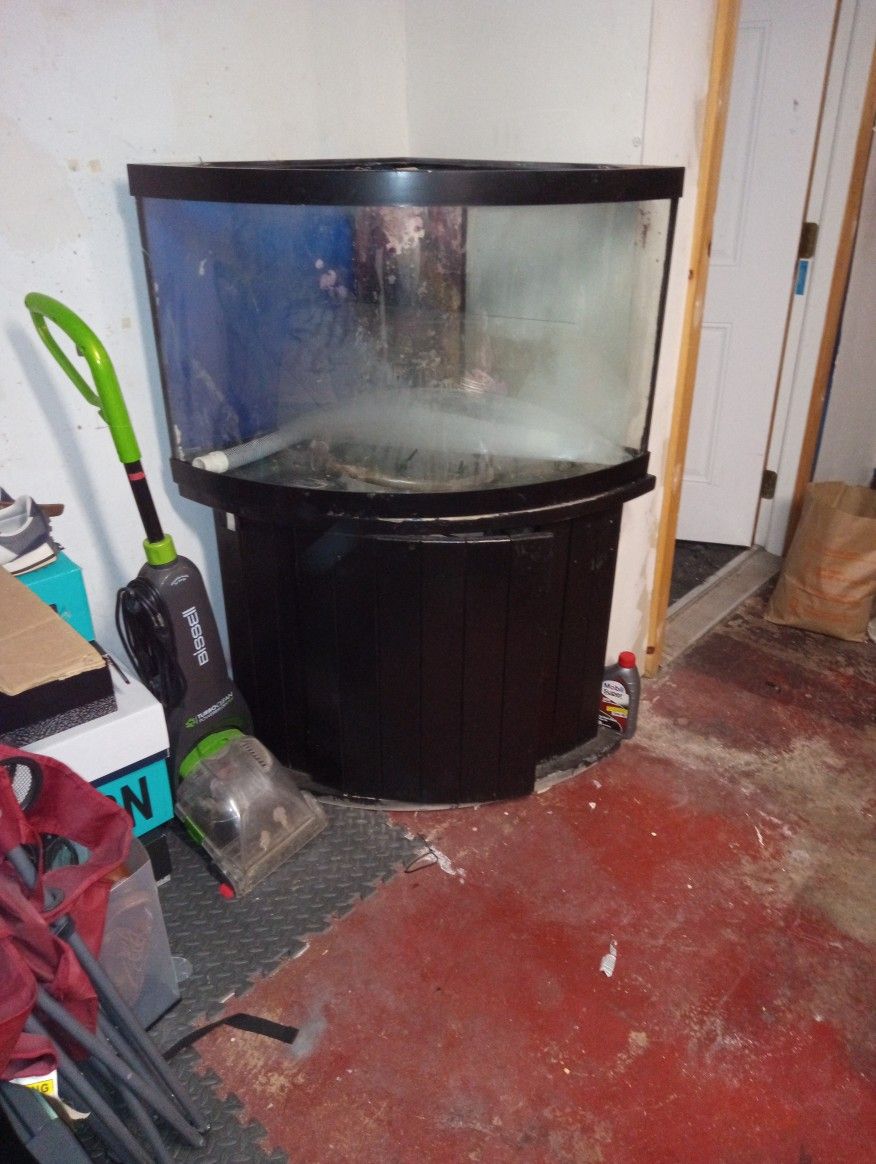 Fish Tank