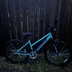 Light Blue Hard Tail Mountain Bike