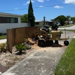 Grinding Stump