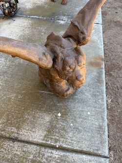 Cast Iron Bull Head Sculpture