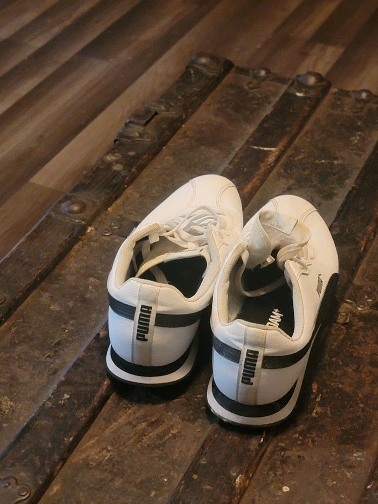 Puma
