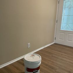 BEHR Paint & Primer