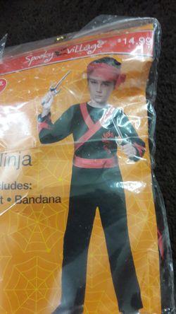 Ninja costume