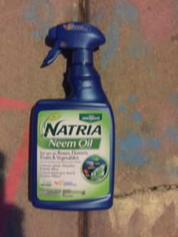 Bayern neem oil spray 24 oz