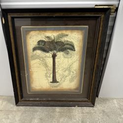 Huge Palm Tree Print Antique