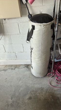 Punching Bag
