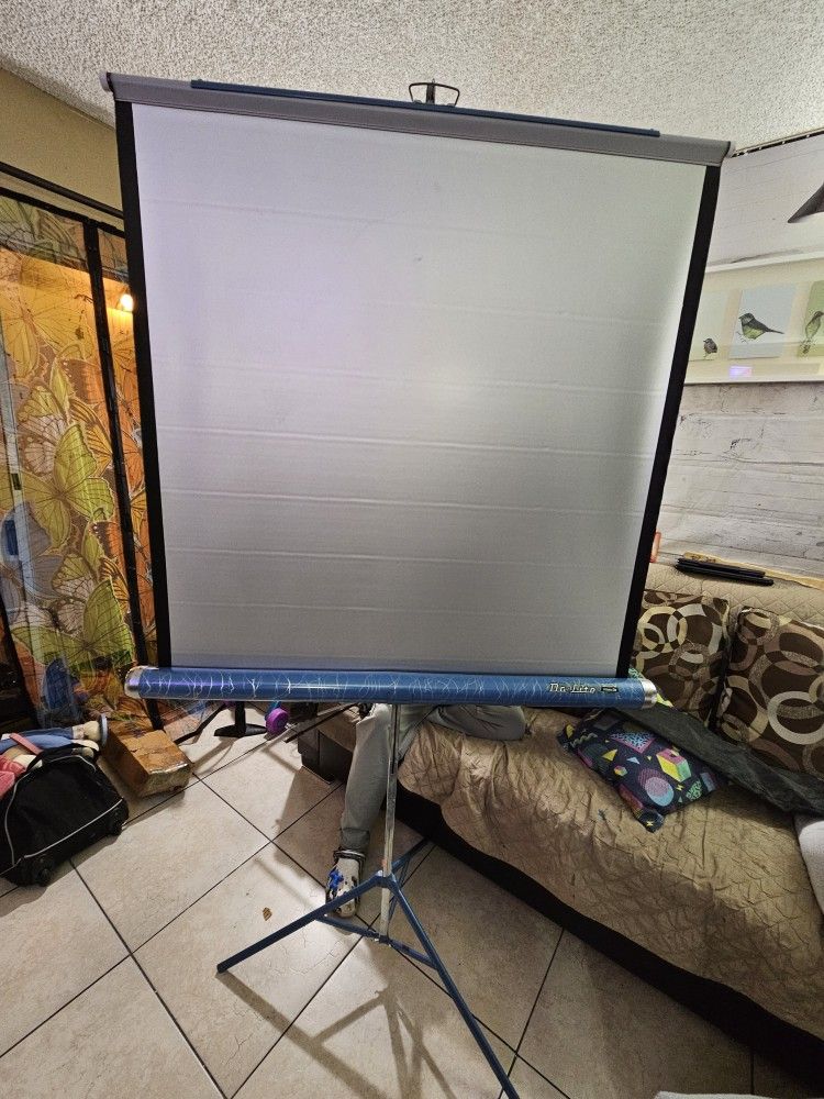 Da-lite Projetion Screen And Stand