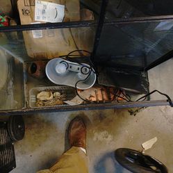 Hermit Crabitat