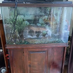 29g Fish Tank