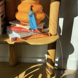 Cat Toy Wand