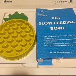 Pet slow feeding bowl