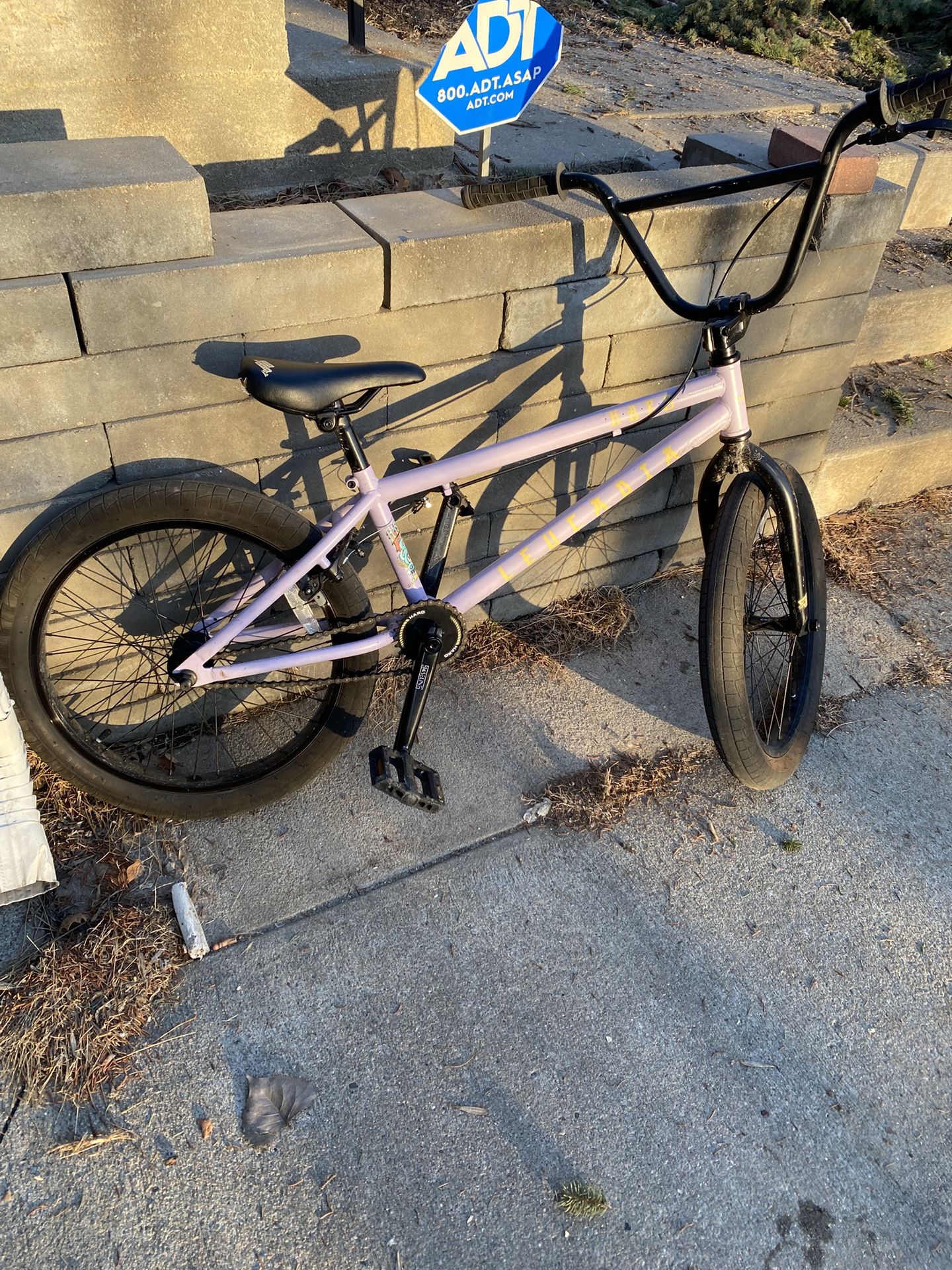 Haro Leucadia DLX BMX Bicycle