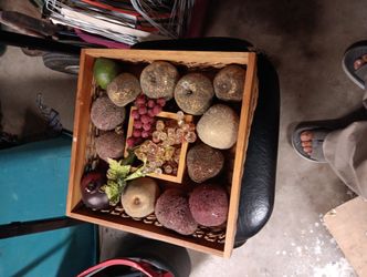 Hermoso Frutero De Madera Mimbre