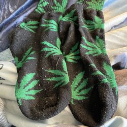 Leaf Socks New 