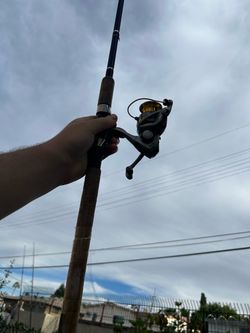 Fishing rod /pole combo