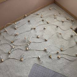 Hometown Evolution, Inc. Vintage Edison Outdoor String Lights (PSSO Clear-White Wire, 50ft)