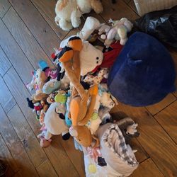 Assorted Toys And Stuffed Animals