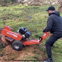 Stump Grinding