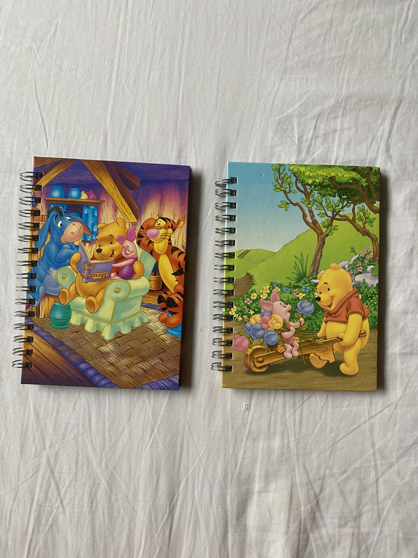 Winnie the Pooh Vintage Spiral Notebooks
