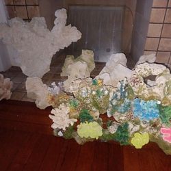 Coral Reef Rocks 