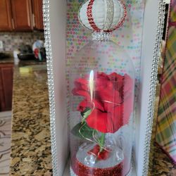 Valentines 💝 Gift 🎁 