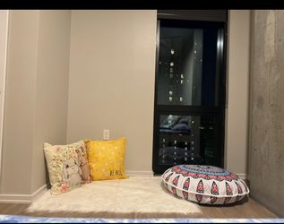 Faux rug and cushions