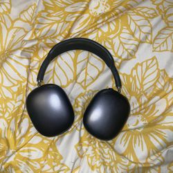 Apple Max Headphones !! *Space Grey*