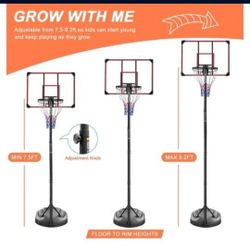 Basketball Hoop-  PRICE IS FIRM 