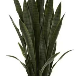 Artificial Snake  Plant 35in