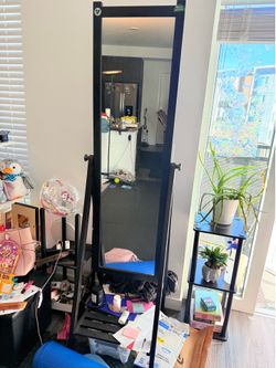Standing mirror and door mirror