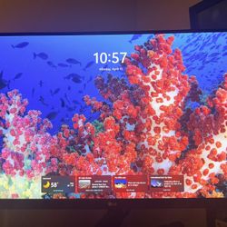 Lg 4k Monitor 