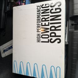 Megan racing lowering springs