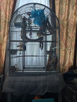 Parrot Cage And Toys