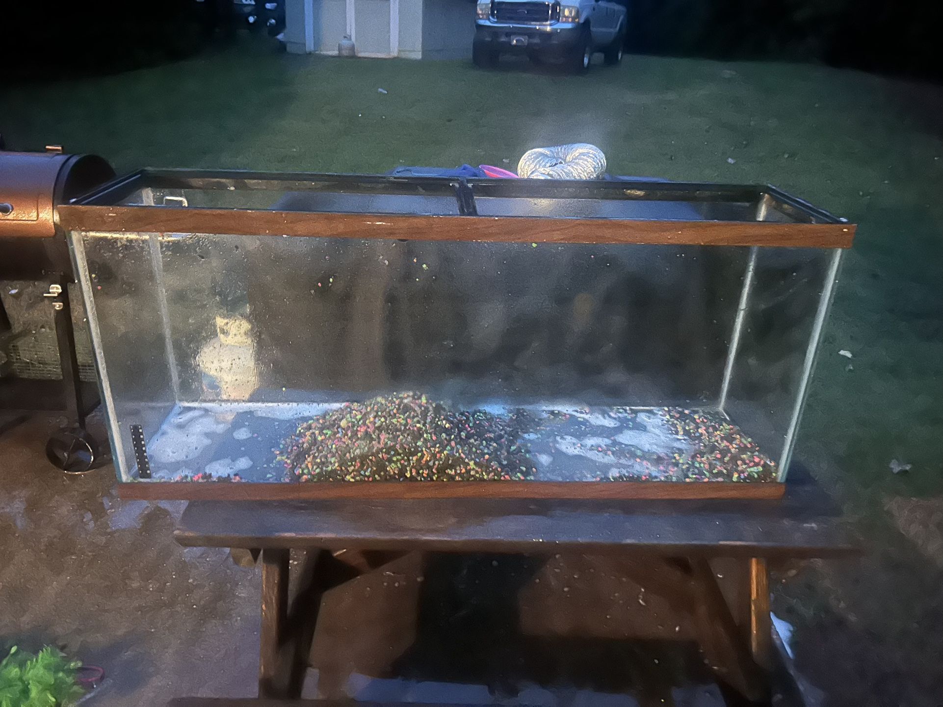 55-60 Gallon Fish Tank