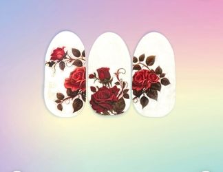 Nail Art Nail Polish Stickers White Flowers Christmas 